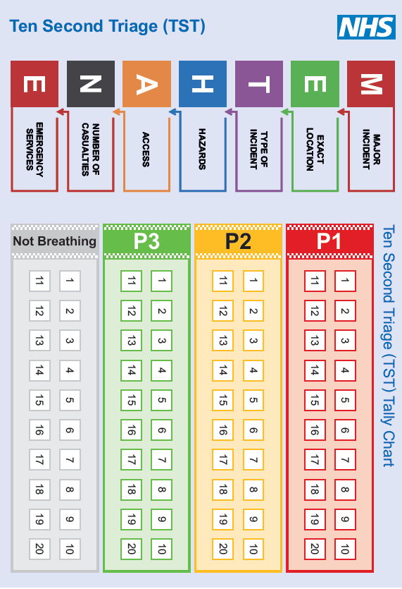 A diagram showing the Ten Second Triage process